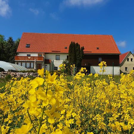Alte Schaeferei Bad Gottleuba Villa Exteriör bild