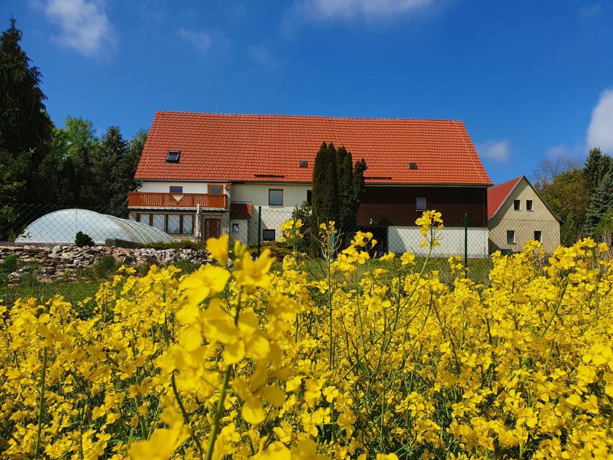 Alte Schaeferei Bad Gottleuba Villa Exteriör bild