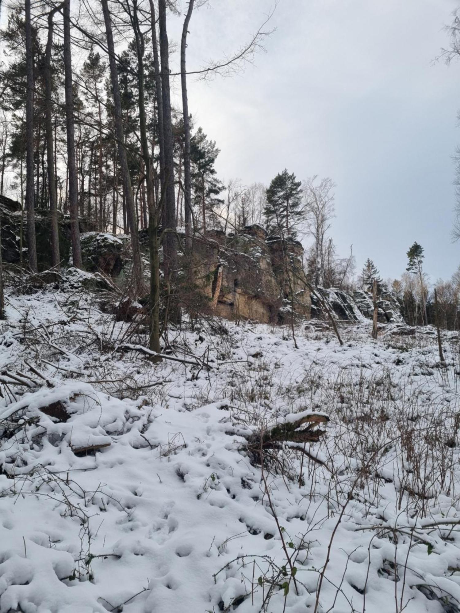 Alte Schaeferei Bad Gottleuba Villa Exteriör bild