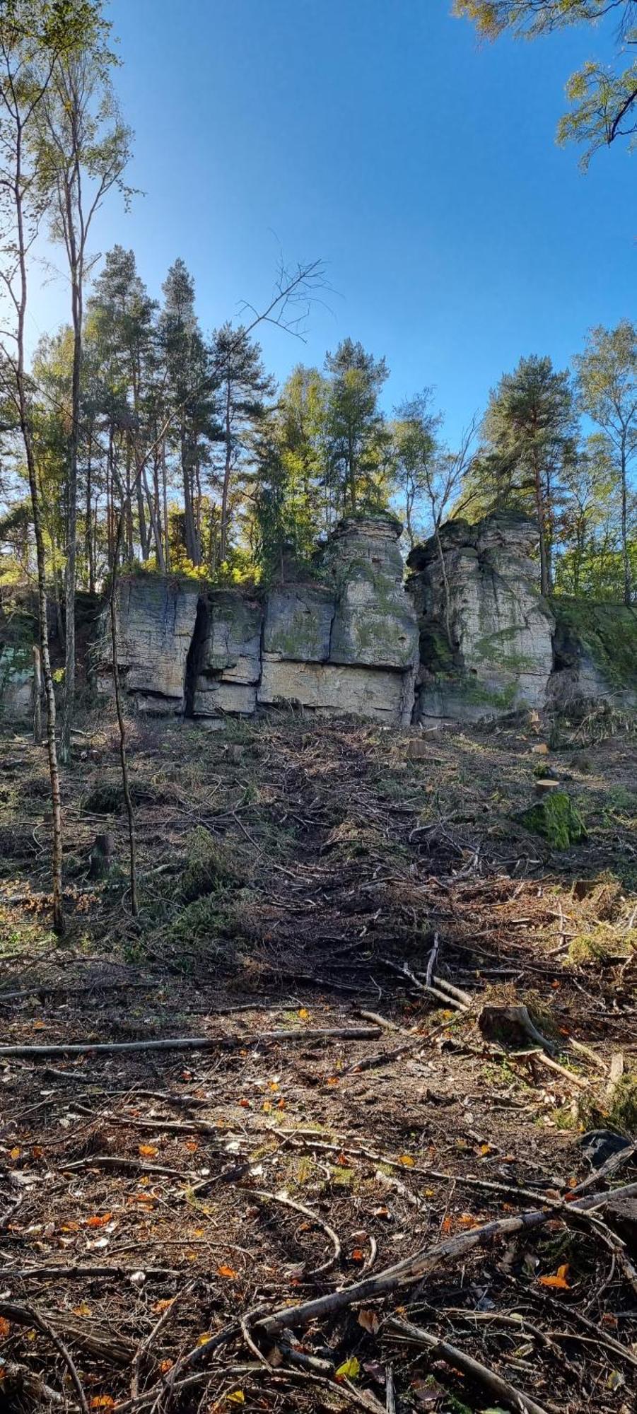 Alte Schaeferei Bad Gottleuba Villa Exteriör bild