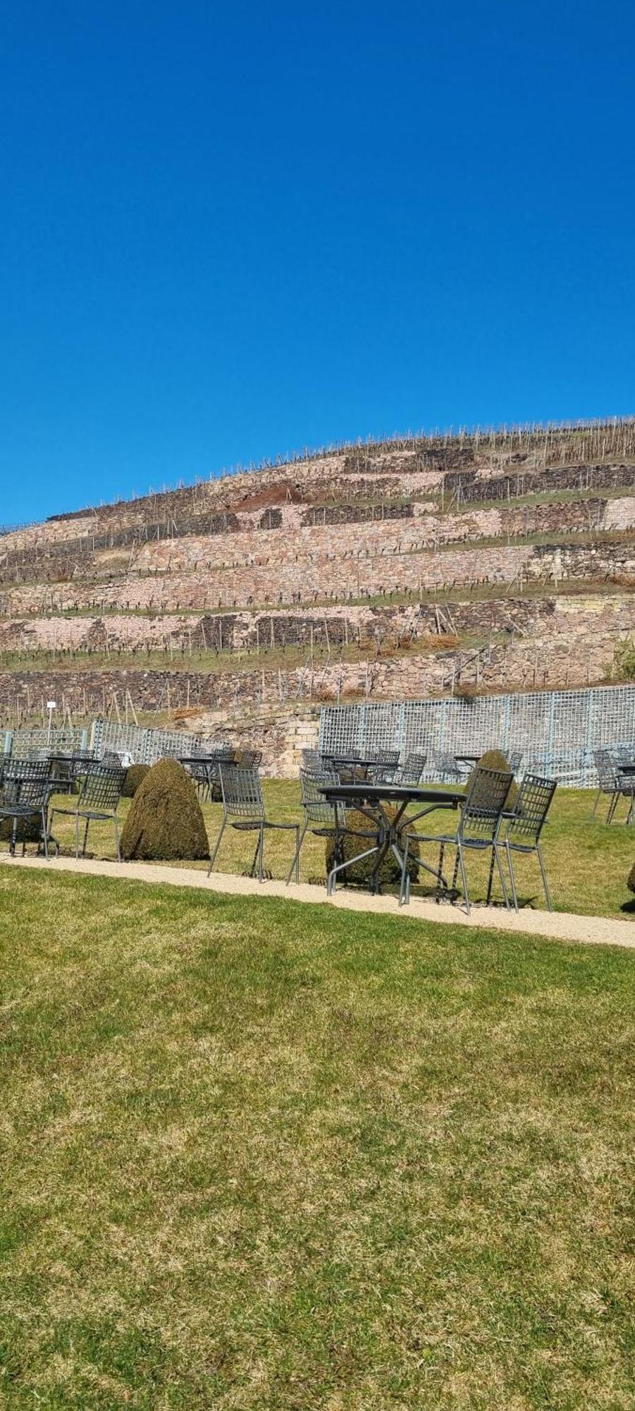 Alte Schaeferei Bad Gottleuba Villa Exteriör bild